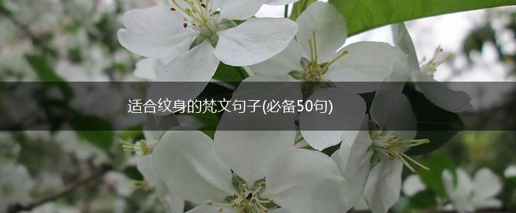 适合纹身的梵文句子(必备50句),第1张