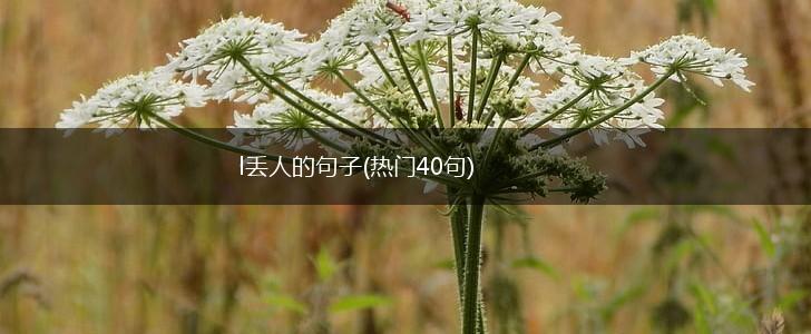 l丢人的句子(热门40句),第1张