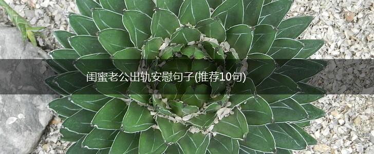 闺蜜老公出轨安慰句子(推荐10句),第1张