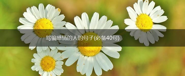 骂骗感情的人的句子(必备40句),第1张