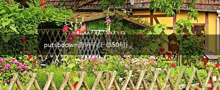 putsbdown造句子(汇总50句),第1张