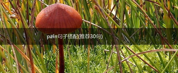 pain句子搭配(推荐30句),第1张