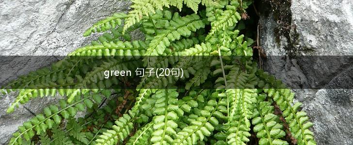 green 句子(20句),第1张