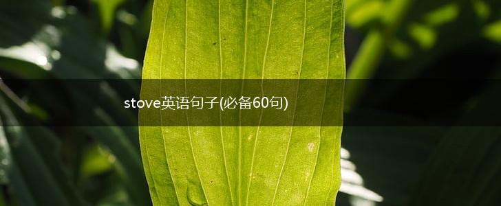 stove英语句子(必备60句),第1张