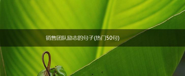 销售团队励志的句子(热门50句),第1张