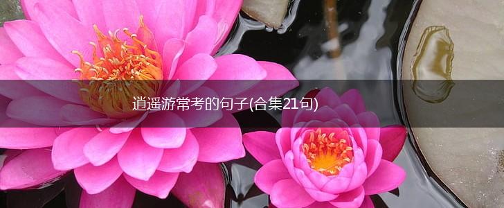 逍遥游常考的句子(合集21句),第1张