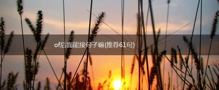 of后面能接句子嘛(推荐61句),第1张