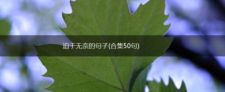 迫于无奈的句子(合集50句),第1张