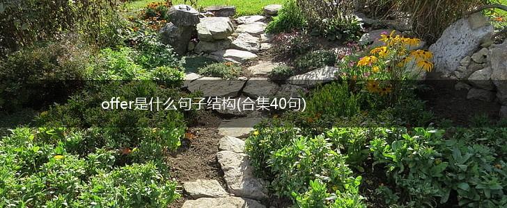 offer是什么句子结构(合集40句),第1张