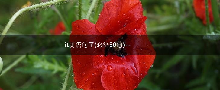 it英语句子(必备50句),第1张