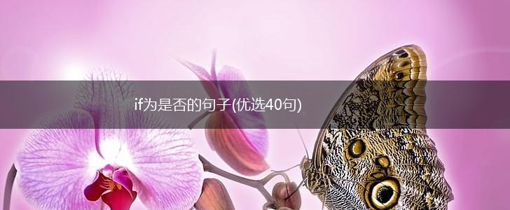 if为是否的句子(优选40句),第1张