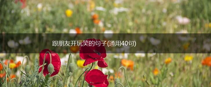 跟朋友开玩笑的句子(通用40句),第1张