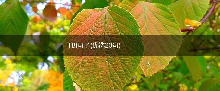 FBI句子(优选20句),第1张