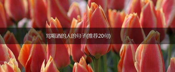骂喝酒的人的句子(推荐20句),第1张