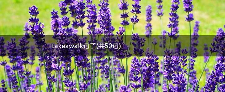 takeawalk句子(共50句),第1张