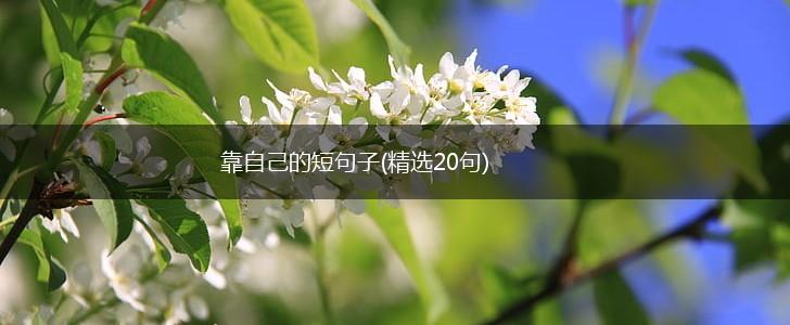 靠自己的短句子(精选20句),第1张