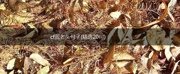 cf蓝老头句子(精选20句),第1张