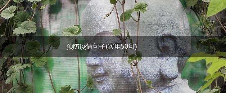 预防疫情句子(实用50句),第1张