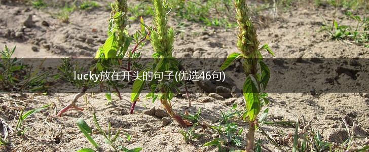 lucky放在开头的句子(优选46句),第1张