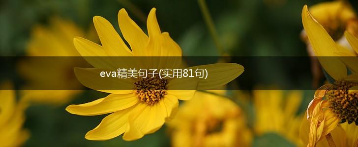 eva精美句子(实用81句),第1张