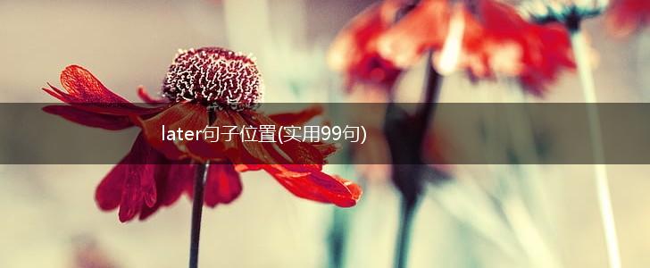 later句子位置(实用99句),第1张