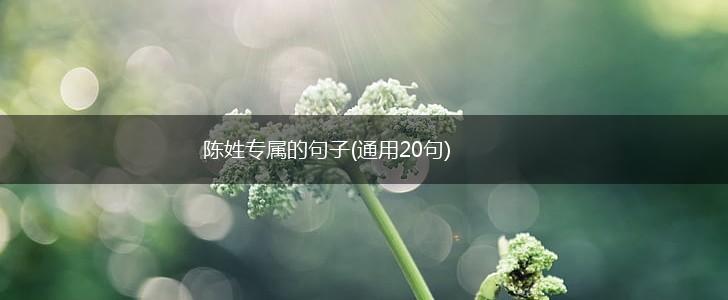 陈姓专属的句子(通用20句),第1张