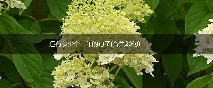 还有多少个十年的句子(合集20句),第1张