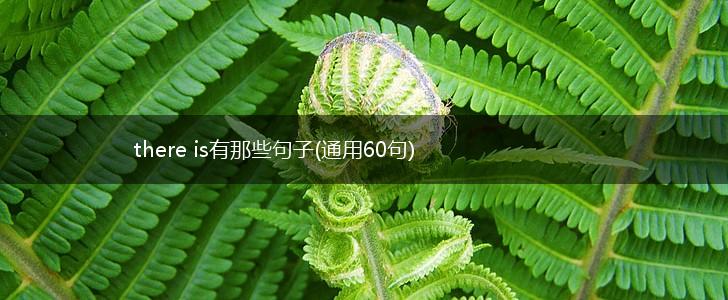 there is有那些句子(通用60句),第1张