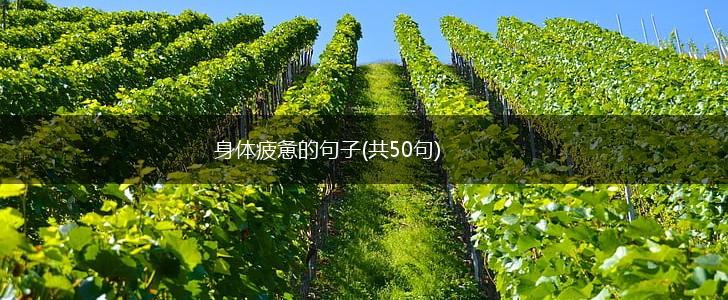 身体疲惫的句子(共50句),第1张