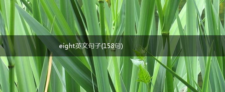 eight英文句子(158句),第1张