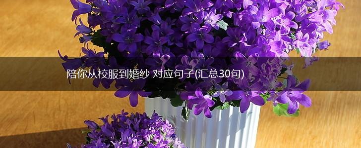 陪你从校服到婚纱 对应句子(汇总30句),第1张