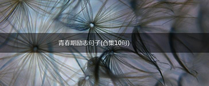 青春期励志句子(合集10句),第1张