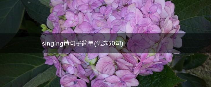 singing造句子简单(优选50句),第1张