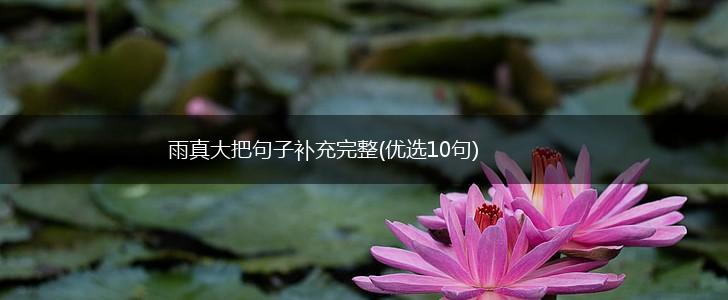 雨真大把句子补充完整(优选10句),第1张