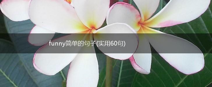 funny简单的句子(实用60句),第1张