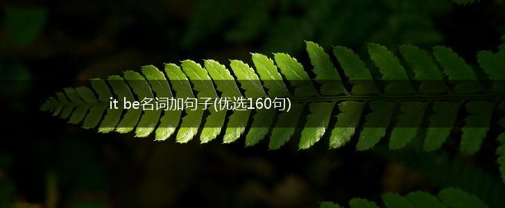 it be名词加句子(优选160句),第1张