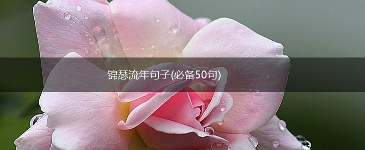锦瑟流年句子(必备50句),第1张