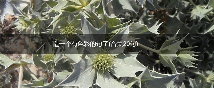 造一个有色彩的句子(合集20句),第1张