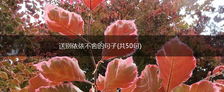送别依依不舍的句子(共50句),第1张