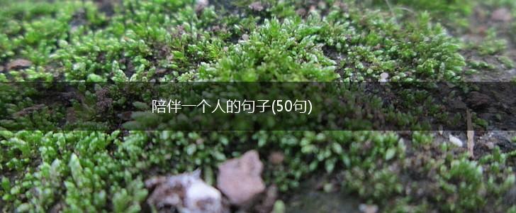 陪伴一个人的句子(50句),第1张