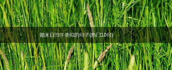 锄禾日当午类似的句子(热门10句),第1张