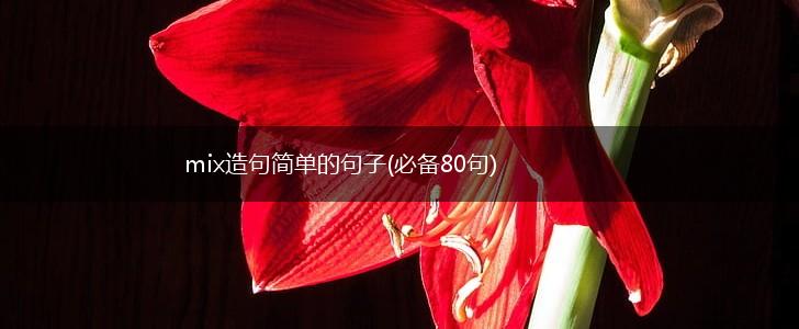 mix造句简单的句子(必备80句),第1张