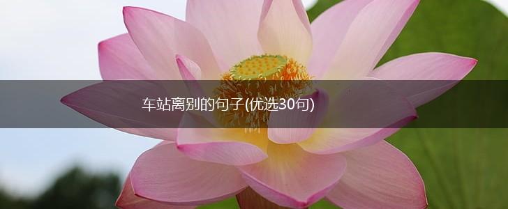车站离别的句子(优选30句),第1张