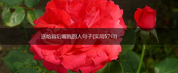 送给背后嘴贱的人句子(实用57句),第1张