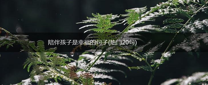 陪伴孩子是幸福的句子(热门20句),第1张