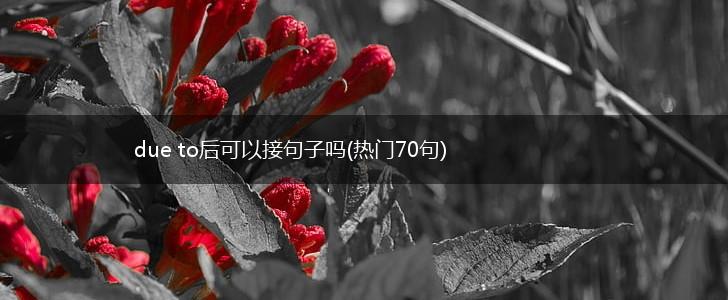due to后可以接句子吗(热门70句),第1张
