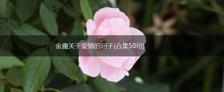 金庸关于爱情的句子(合集50句),第1张