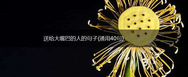 送给大嘴巴的人的句子(通用40句),第1张