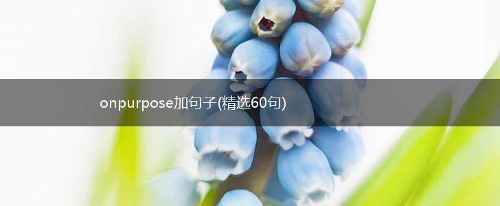 onpurpose加句子(精选60句),第1张