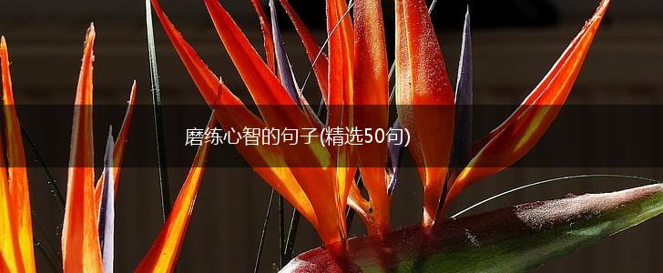 磨练心智的句子(精选50句),第1张
